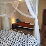 Les Bulles Perchees De Lartigue 3*