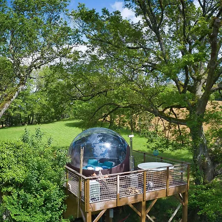 Les Bulles Perchees De Lartigue 3*
