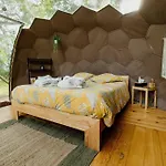 Les Bulles Perchees De Lartigue 3*