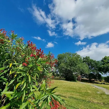 Les Bulles Perchees De Lartigue 3*