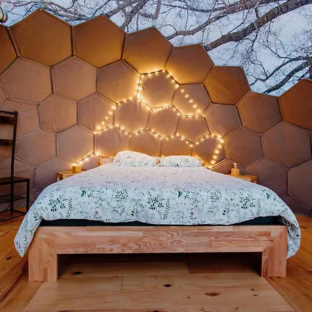 Les Bulles Perchees De Lartigue