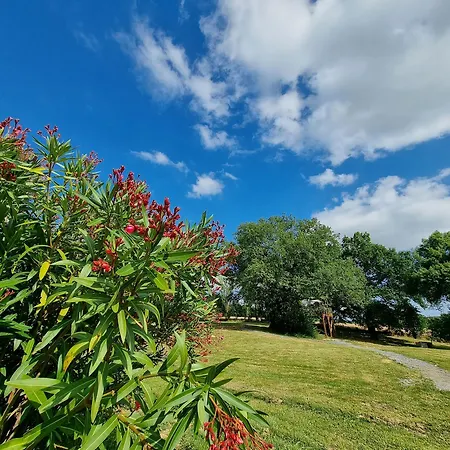 Les Bulles Perchées De Lartigue