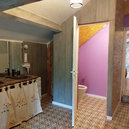 Les Bulles Perchees De Lartigue