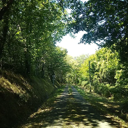 Bed & Breakfast Les Bulles Perchees De Lartigue Margouet-Meymes