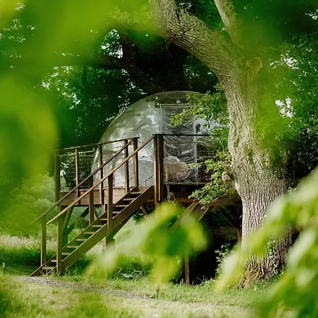 Bed and Breakfast Les Bulles Perchees De Lartigue 3*