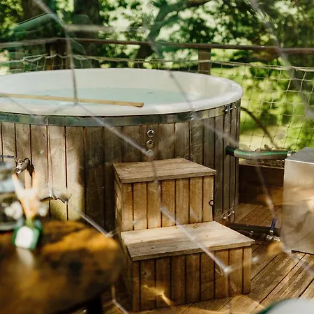 Les Bulles Perchees De Lartigue