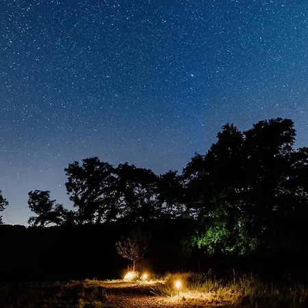 Les Bulles Perchees De Lartigue 3* Margouet-Meymes