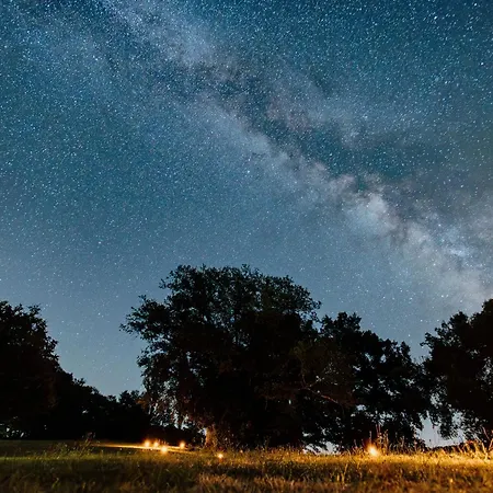 Les Bulles Perchees De Lartigue Margouet-Meymes