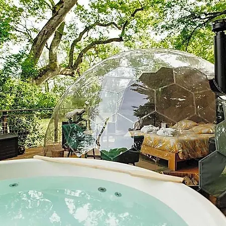 Les Bulles Perchées De Lartigue