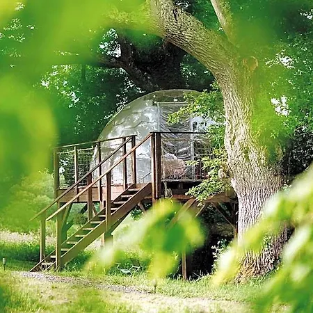 Les Bulles Perchées De Lartigue Bed and breakfast Margouet-Meymes