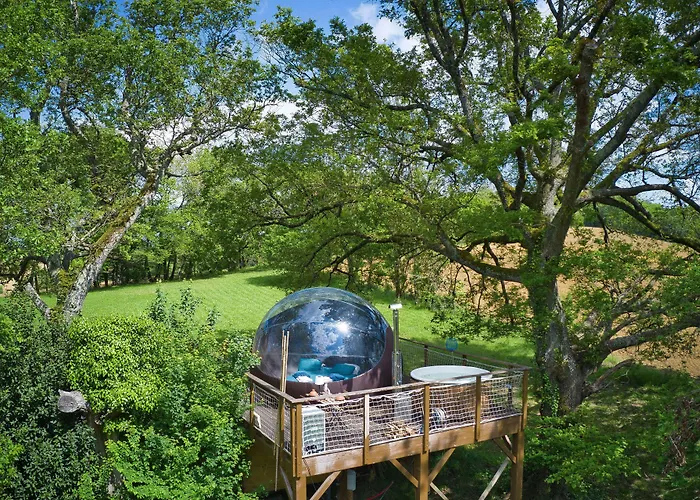 Les Bulles Perchees De Lartigue 3*