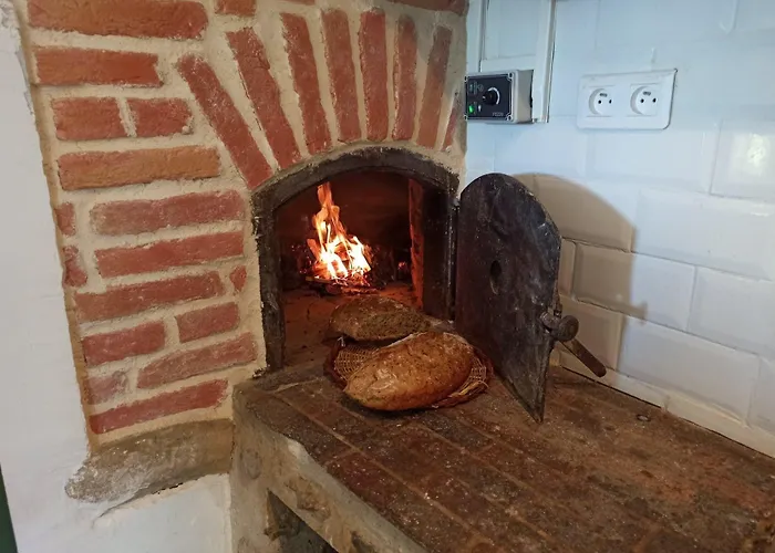 Les Bulles Perchees De Lartigue 3*