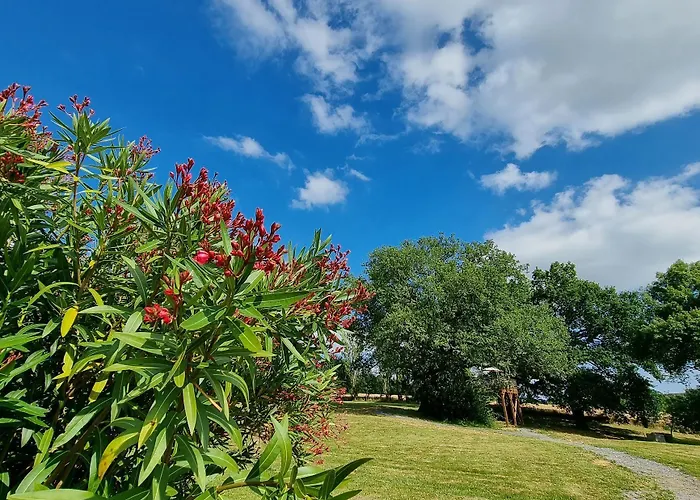 Les Bulles Perchees De Lartigue