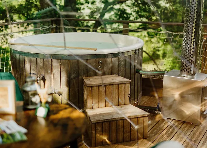 Les Bulles Perchees De Lartigue