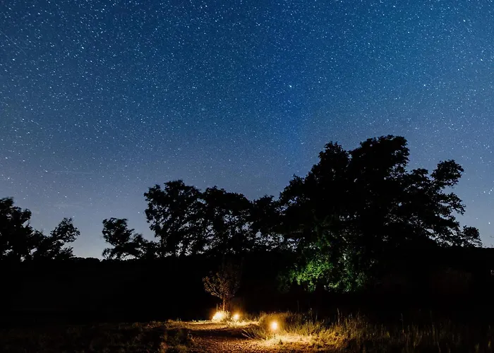 Les Bulles Perchees De Lartigue 3* Margouet-Meymes