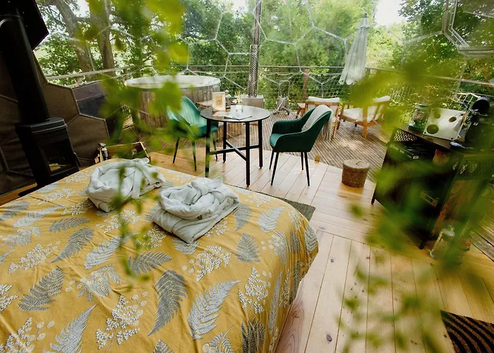 Les Bulles Perchees De Lartigue