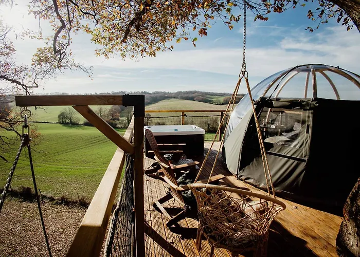 Les Bulles Perchees De Lartigue 3*