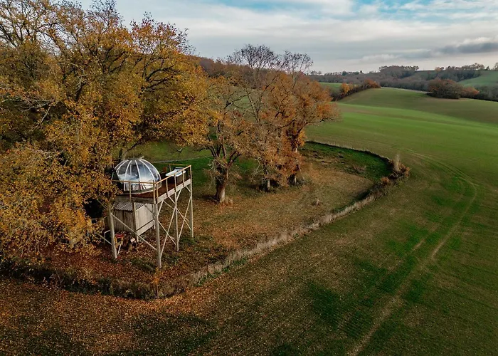 Les Bulles Perchees De Lartigue 3* Margouet-Meymes