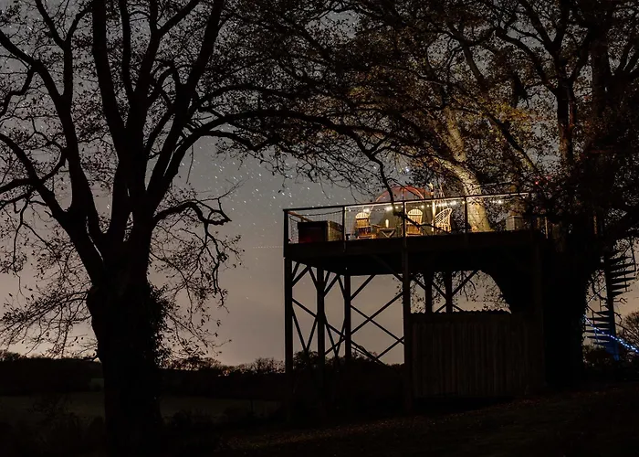 Bed & Breakfast Les Bulles Perchees De Lartigue