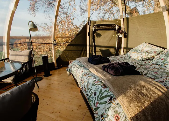 Les Bulles Perchees De Lartigue Bed & Breakfast Margouet-Meymes