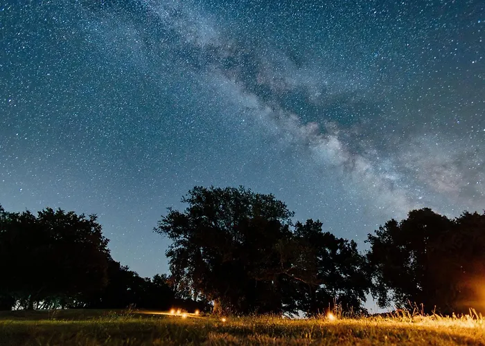 Les Bulles Perchees De Lartigue Margouet-Meymes